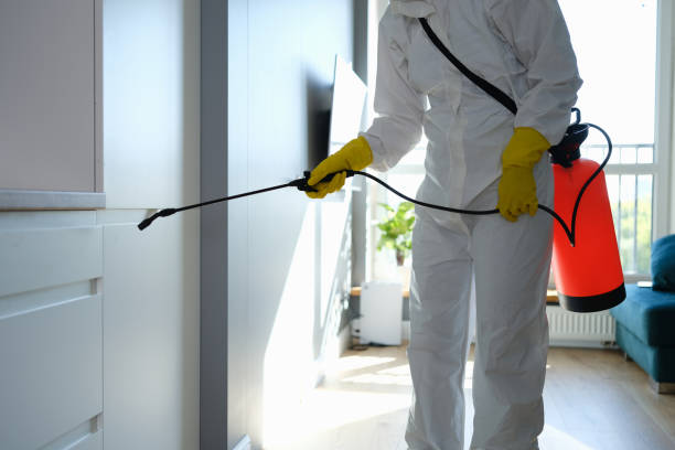 Best Kitchen Mold Remediation in Orchards, WA